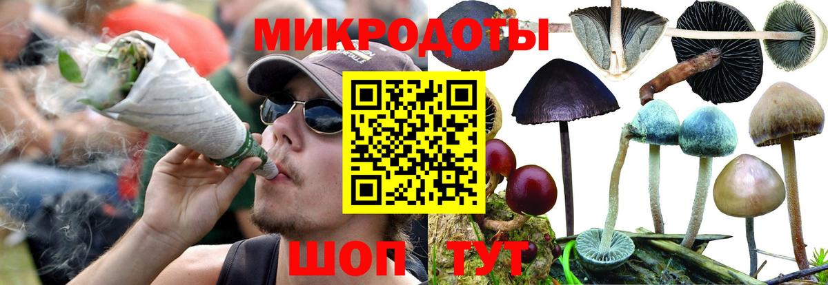 Тамбов  Псилоцибиновые грибы Magic Shrooms  Вход с VPN 